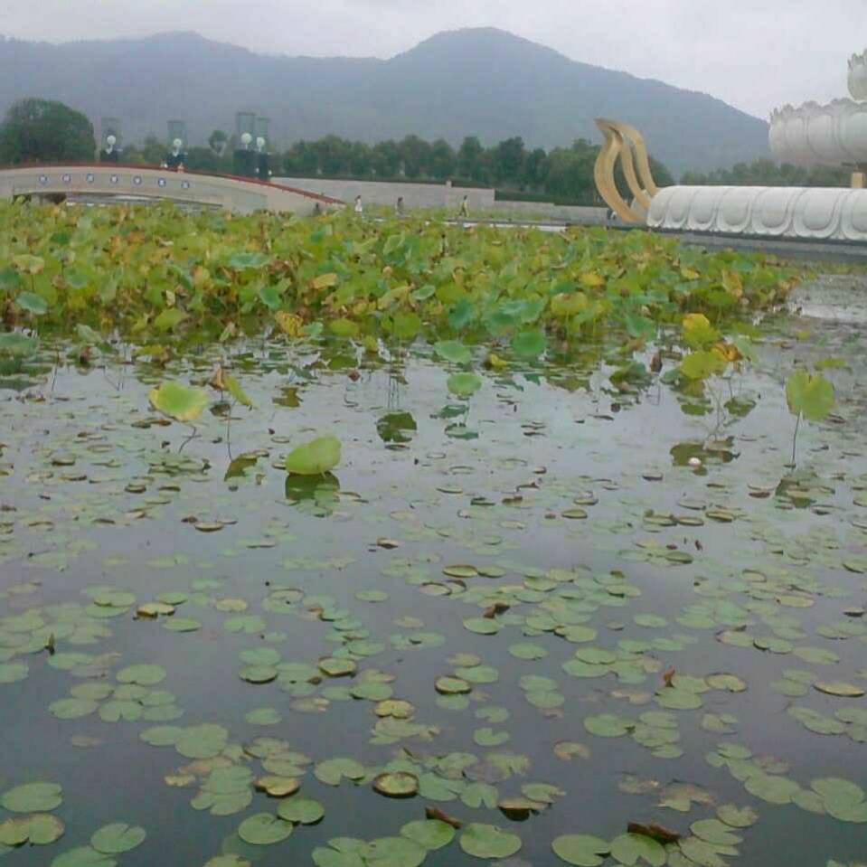 用戶頭像