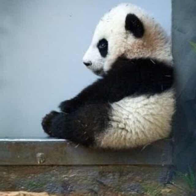 大扳手工程师