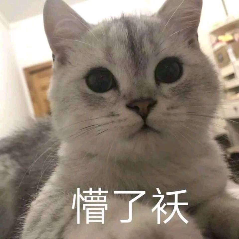 王长宇