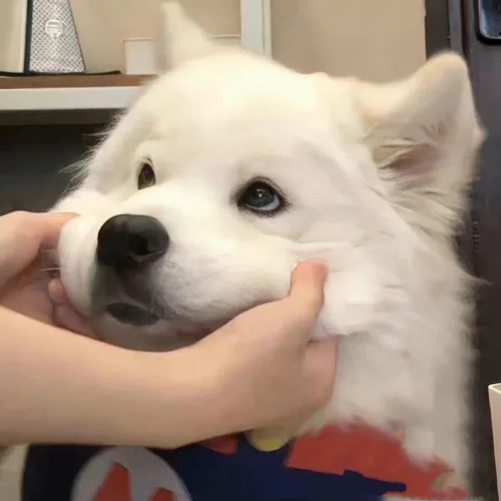 禹宁安°