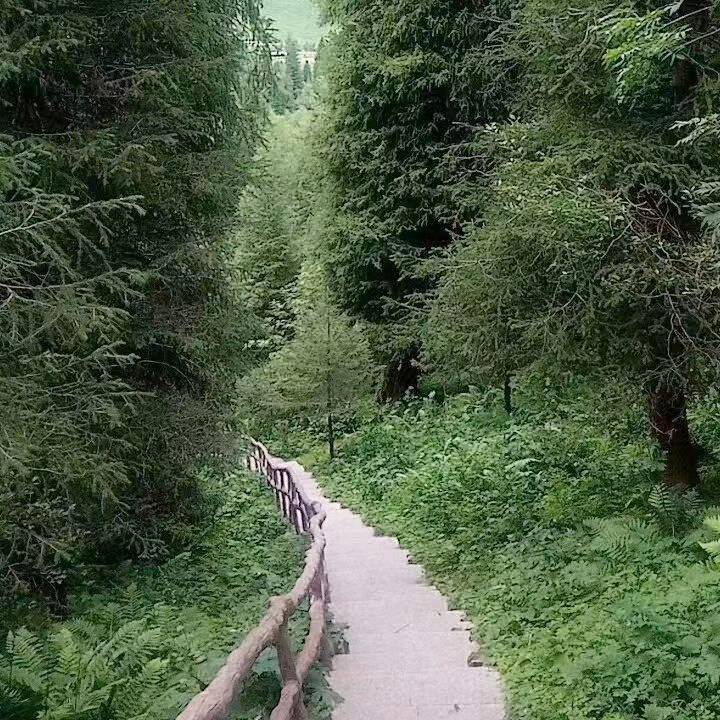 用戶頭像
