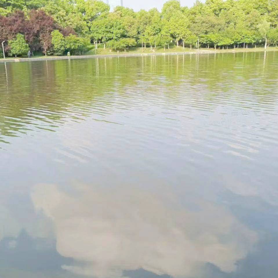 A000-网站设计开发-王Sir