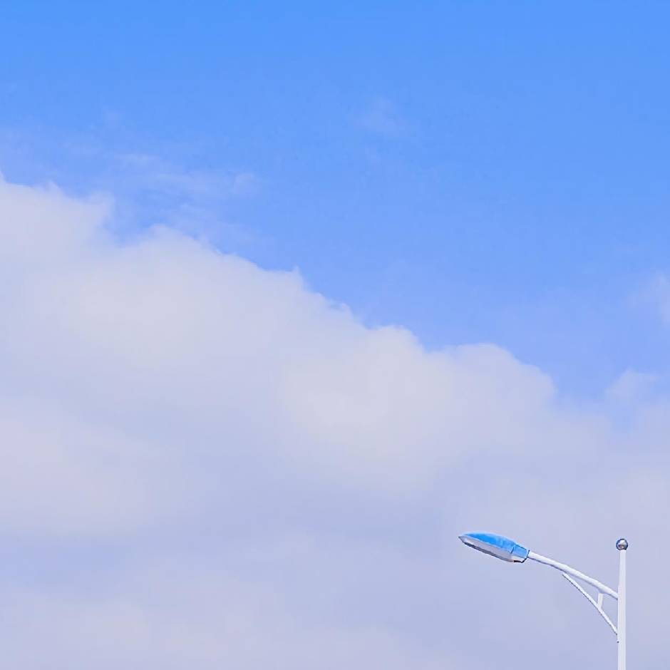 金涛