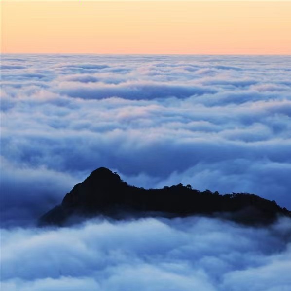 深圳市梵净茶业有限公司