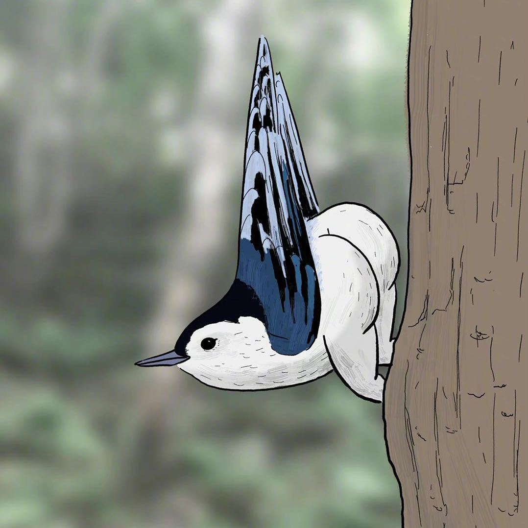 小王