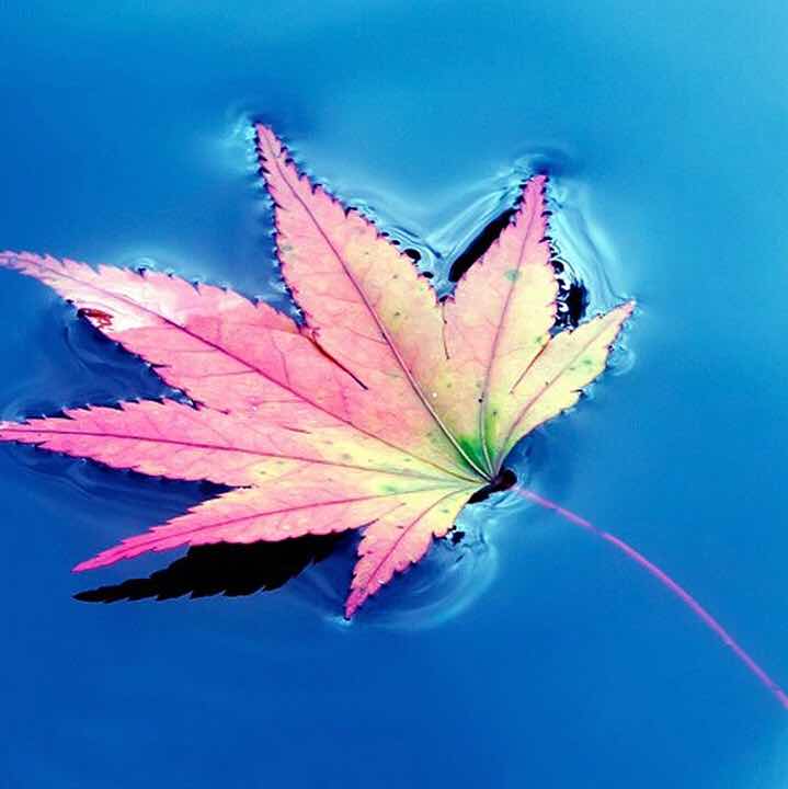 诺言