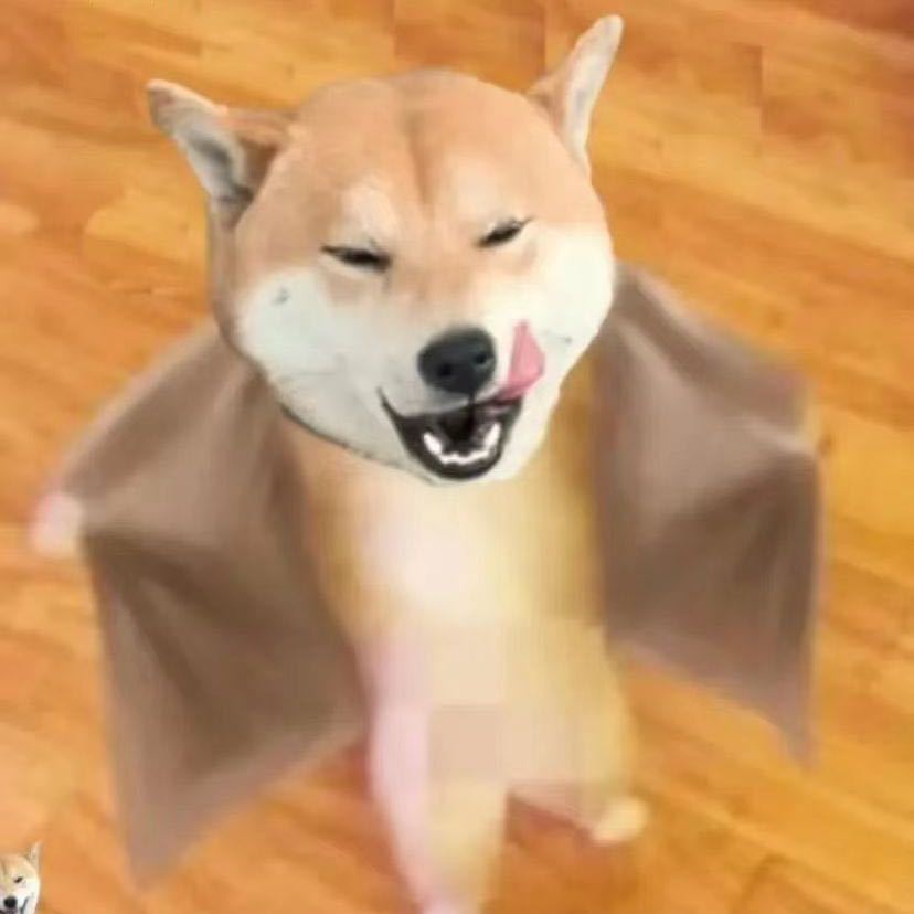 畅加辛浩18703453021