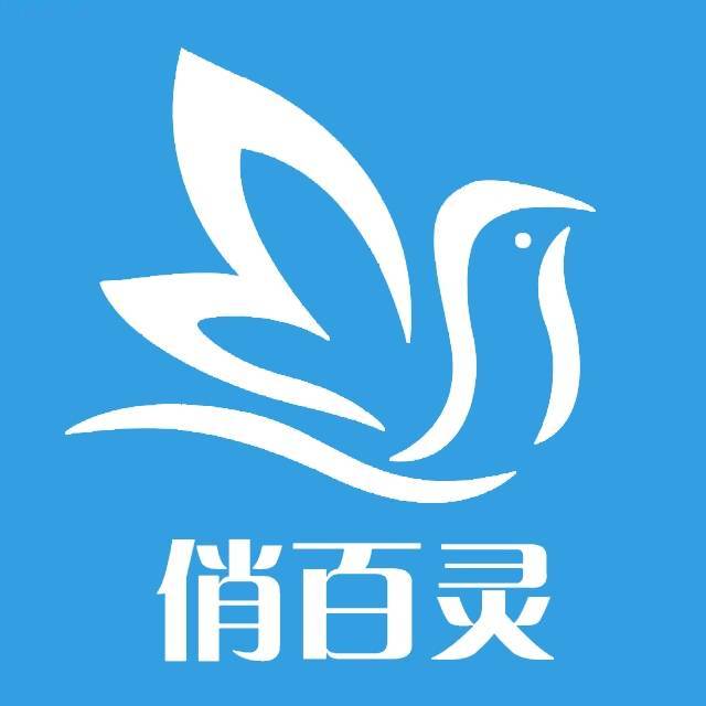 网站公众平台开发