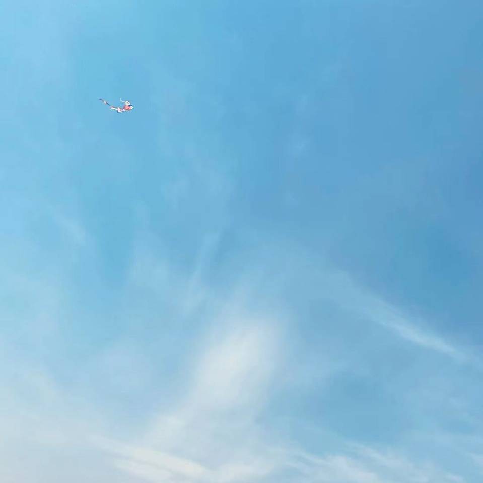 术虫