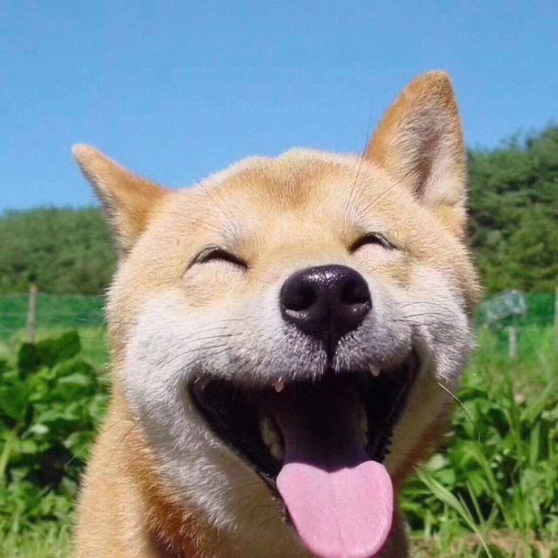 用戶頭像
