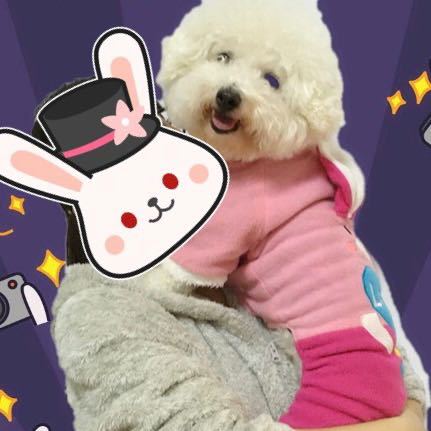 洋洋洋 ღ( ´･ᴗ･` ) ღ