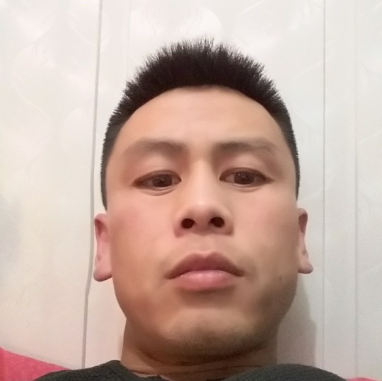 韩磊