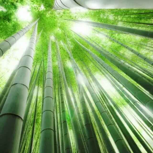 用戶(hù)頭像
