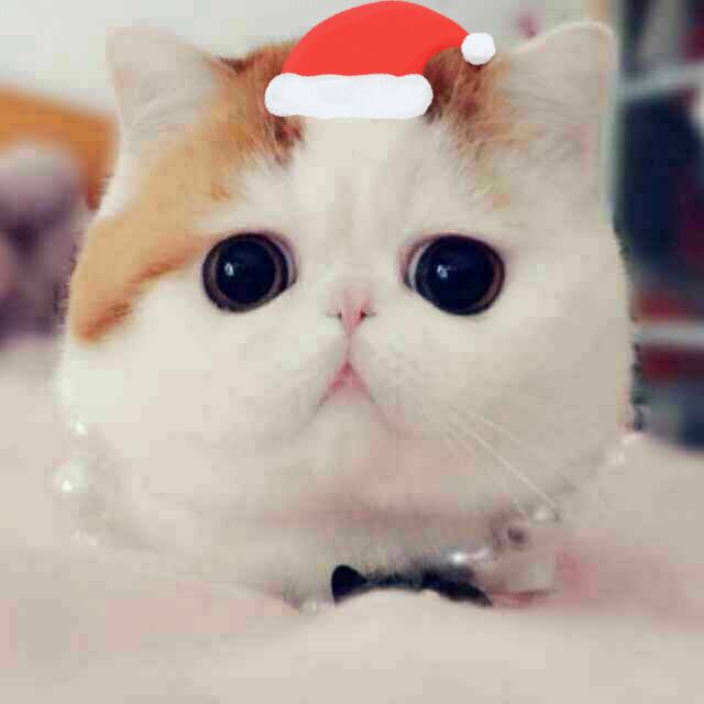 果果