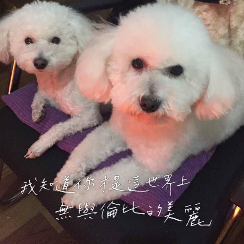 用戶頭像