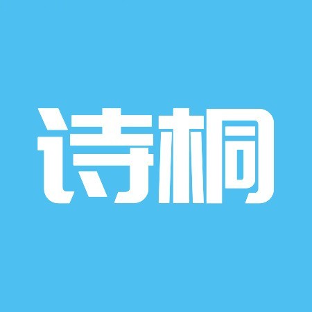 保定诗桐网络科技有限公司