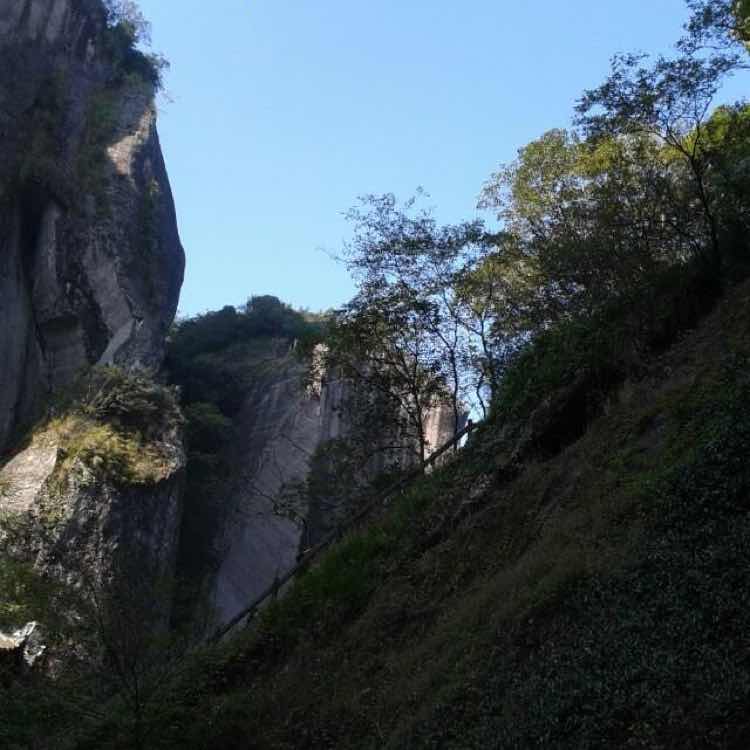 用戶頭像