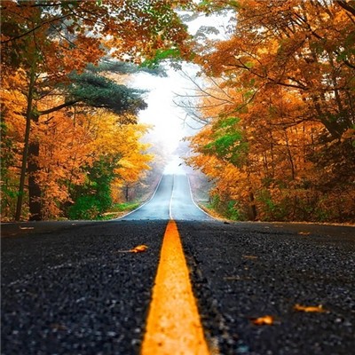 找我借钱，请左拐借呗