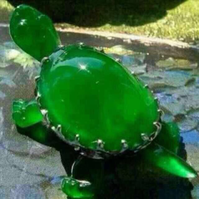 AA杨友福13015833678