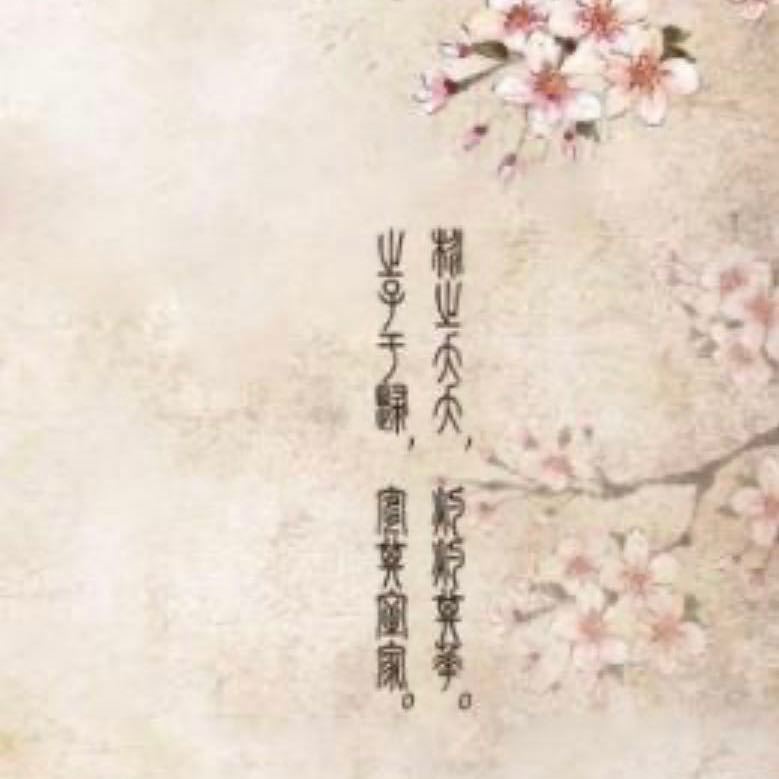 用戶頭像