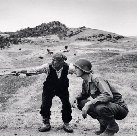 发霉面包（口口口）