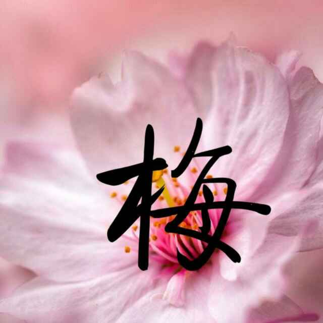 用戶頭像
