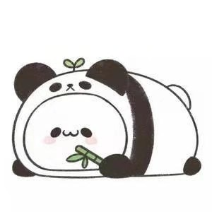 康龙龙ᵃ