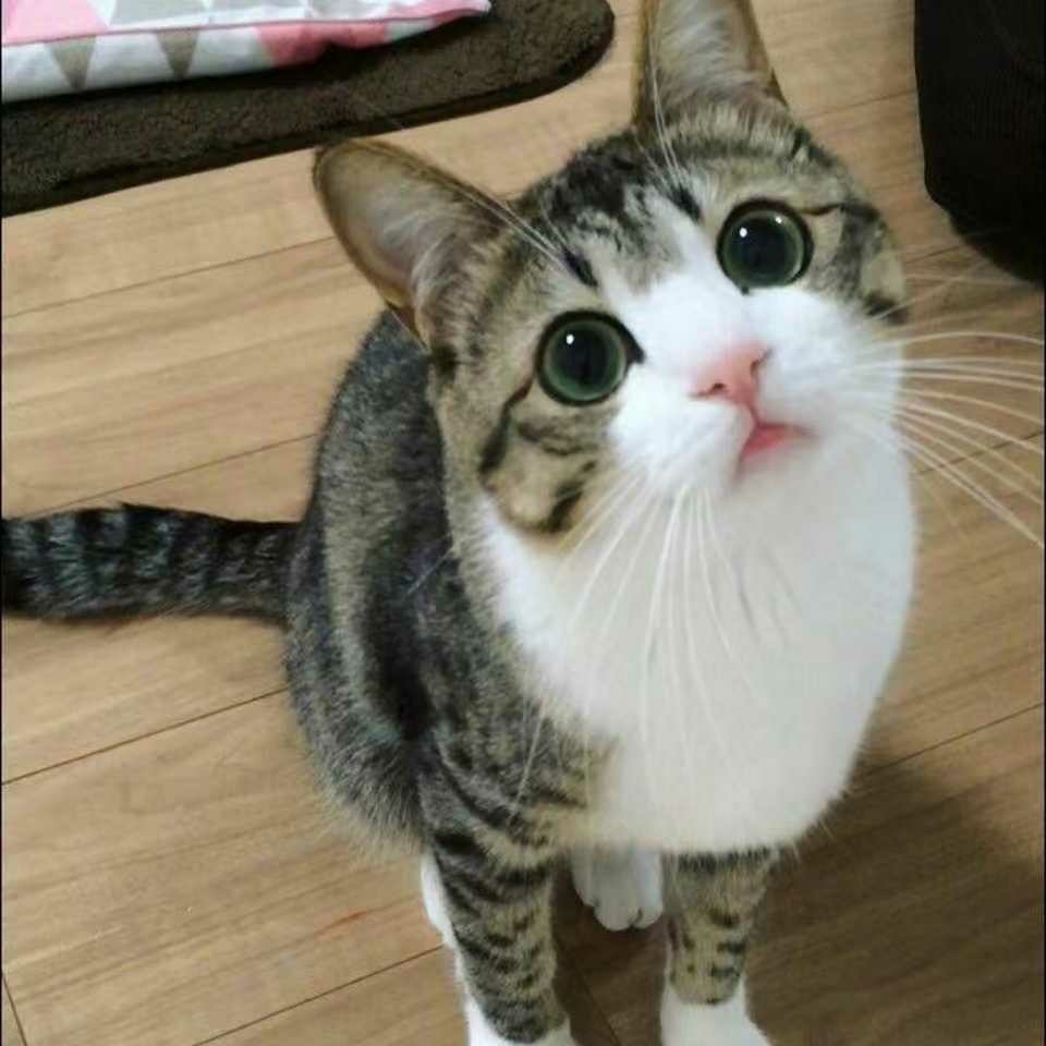 豆奶叔叔