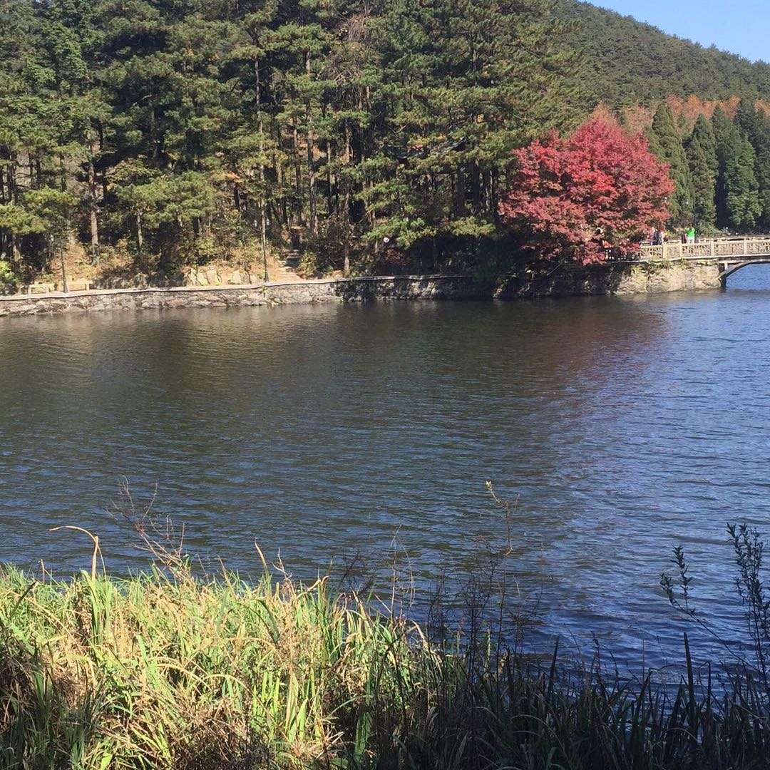 龚先生||媒体人||文化||资质