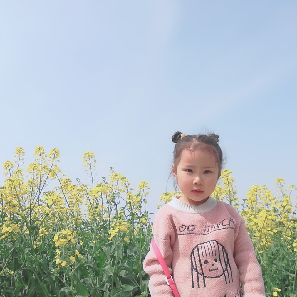 锦上添花
