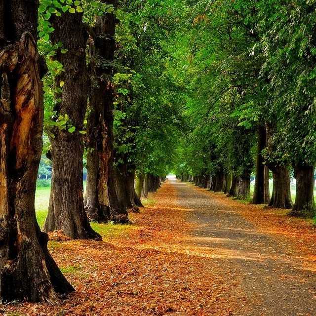 六零后说声乐往事