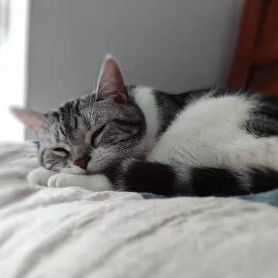 Sam