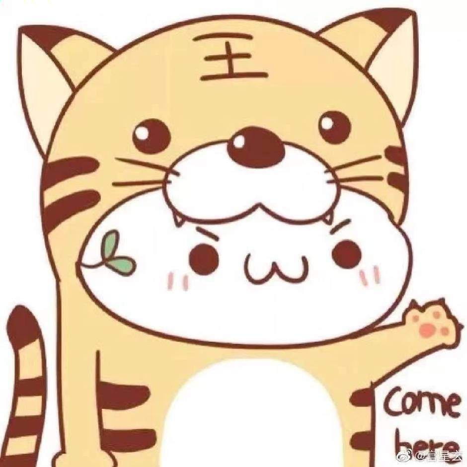 二毛