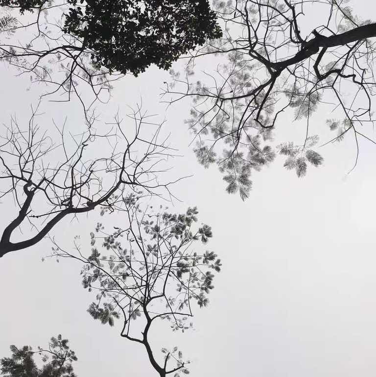 六祖坛经