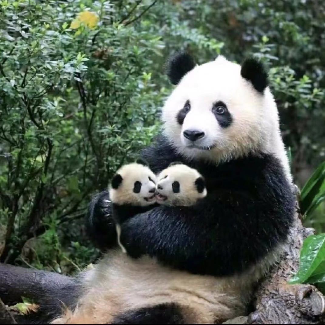 丁一
