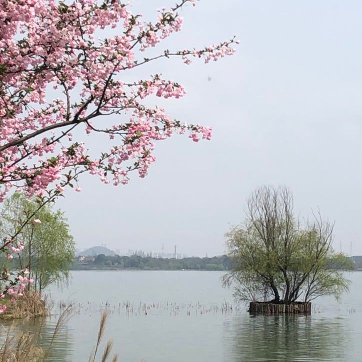 股票深度交易心理学：通过正念练习和尖端心理学实现最佳交易表现