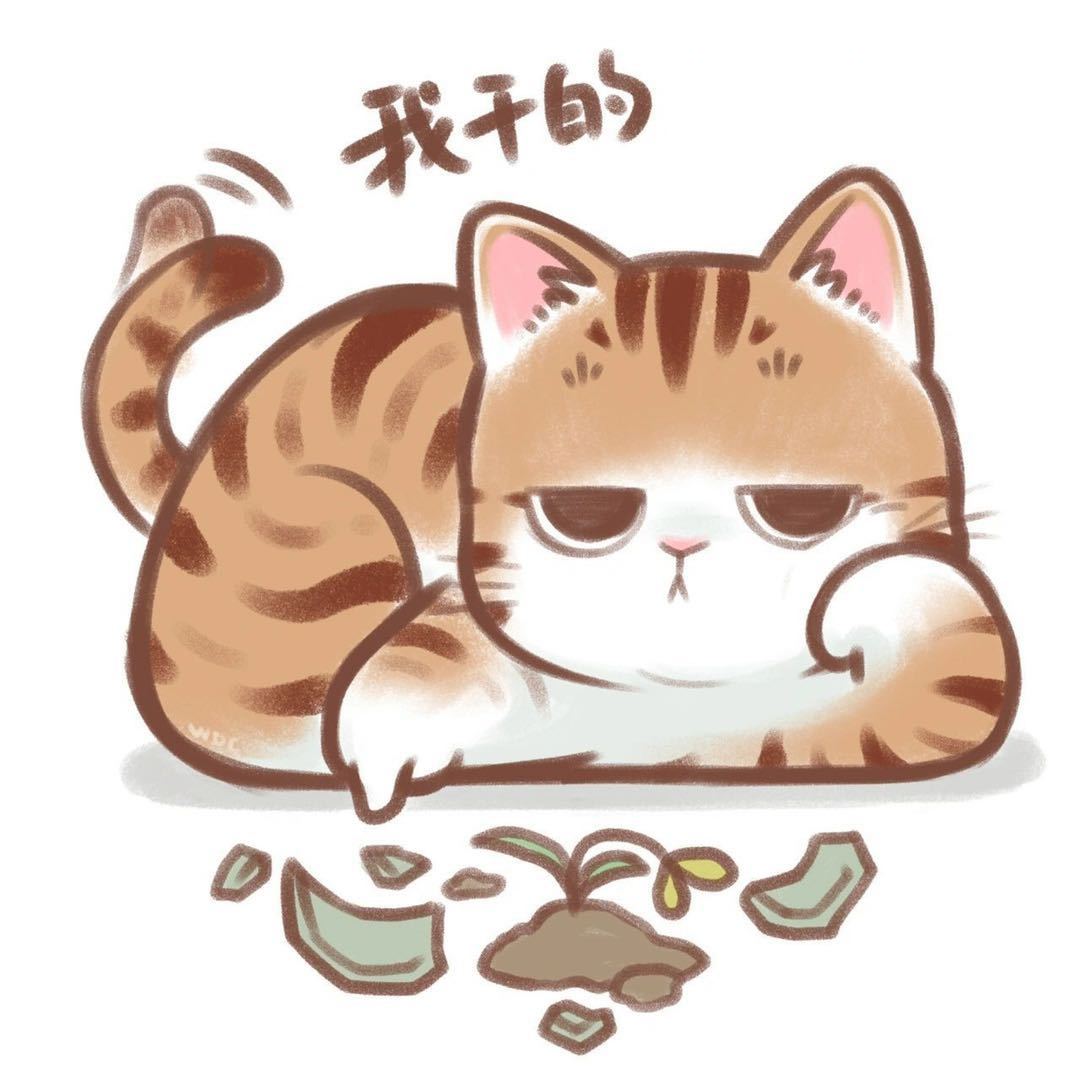 维维维