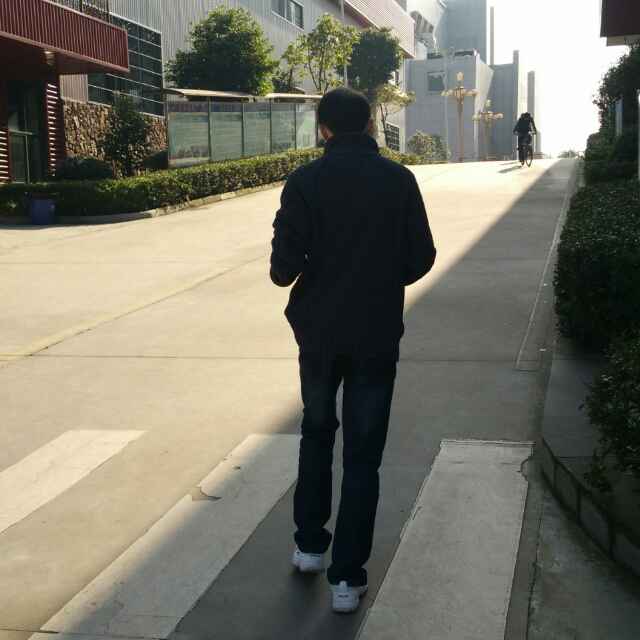 大利