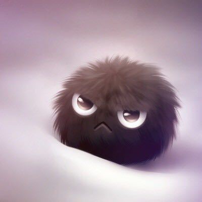 Bob_by