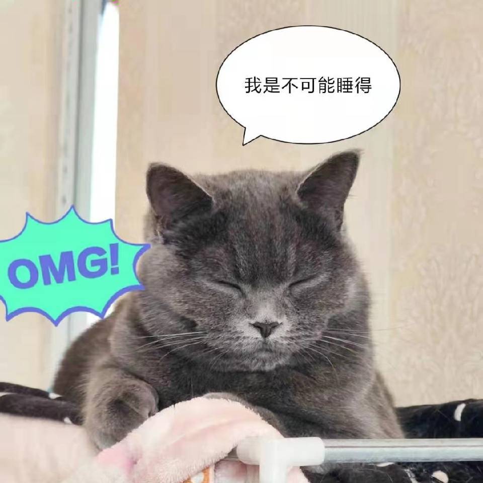 我有两只喵喵🐱