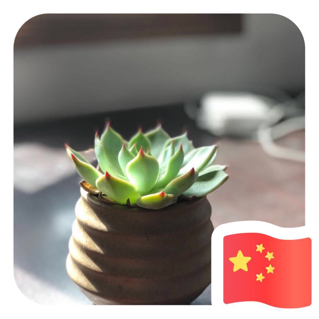 用戶頭像