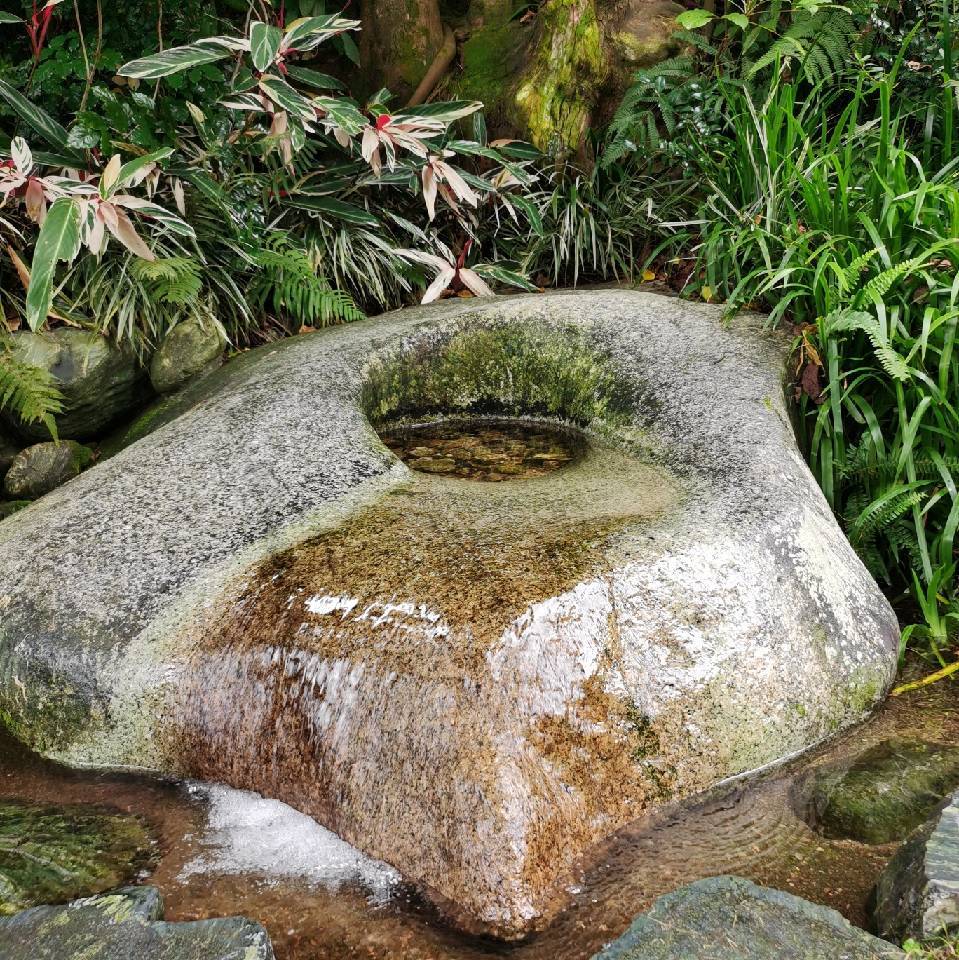 用戶頭像