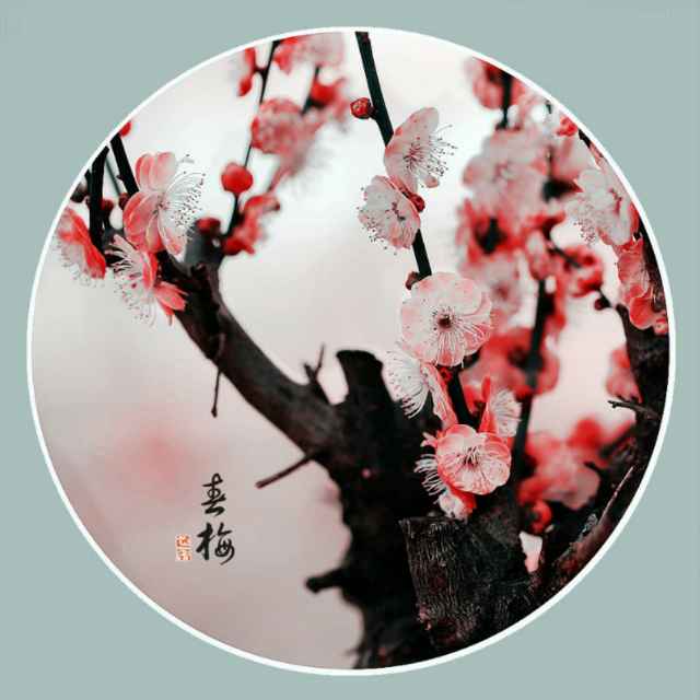 用戶頭像