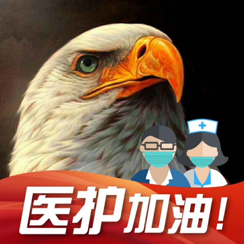 老鹰