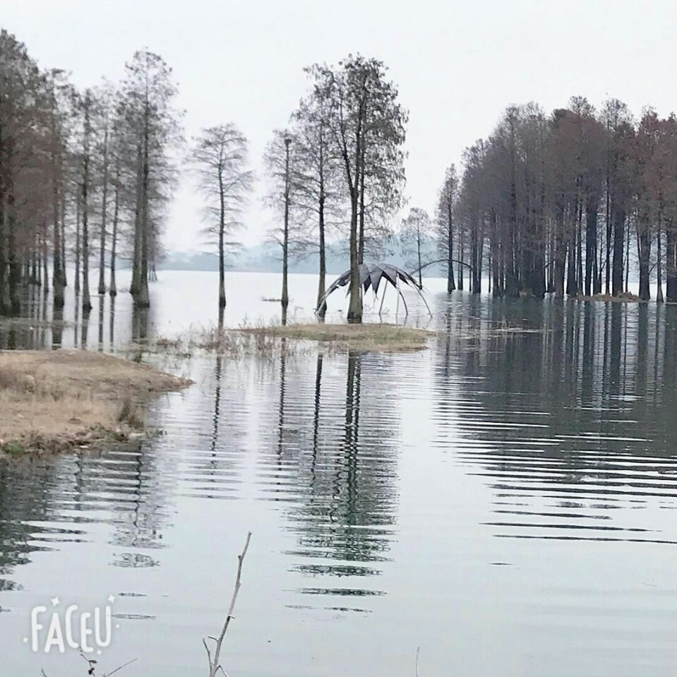 用戶頭像
