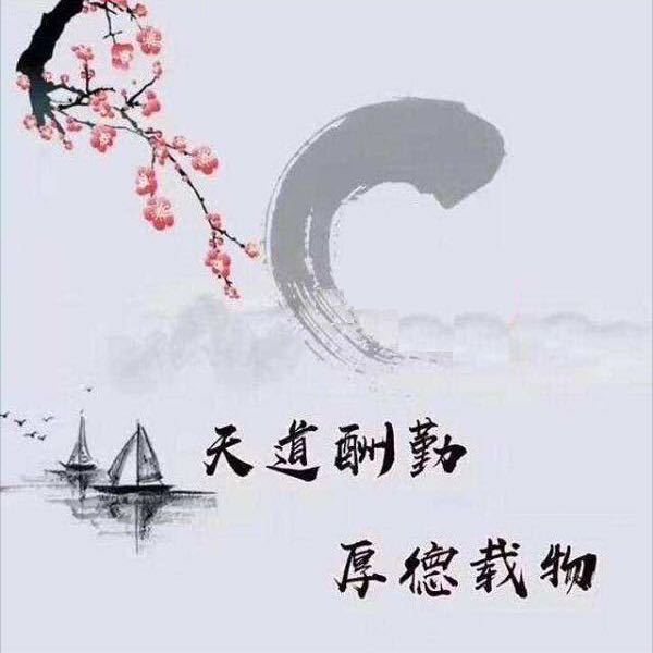 皮皮蛋