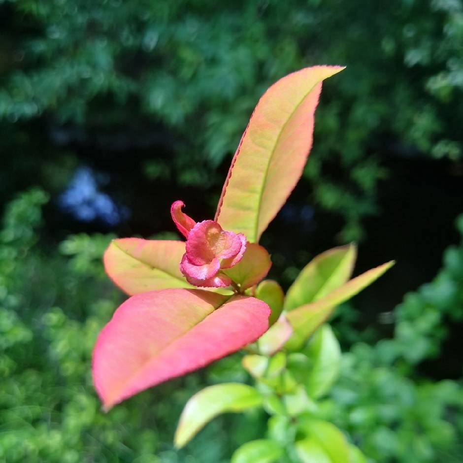 悠然