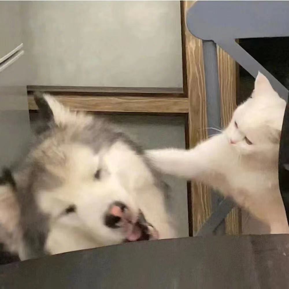 余航。