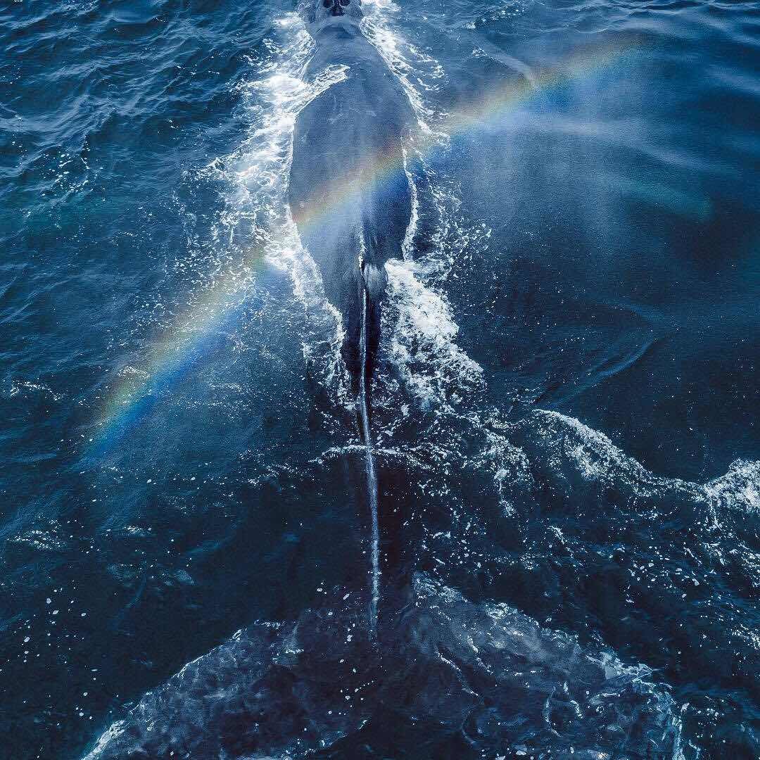 。