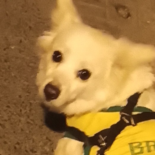 🕝🕝🕝🕝🕝🕝